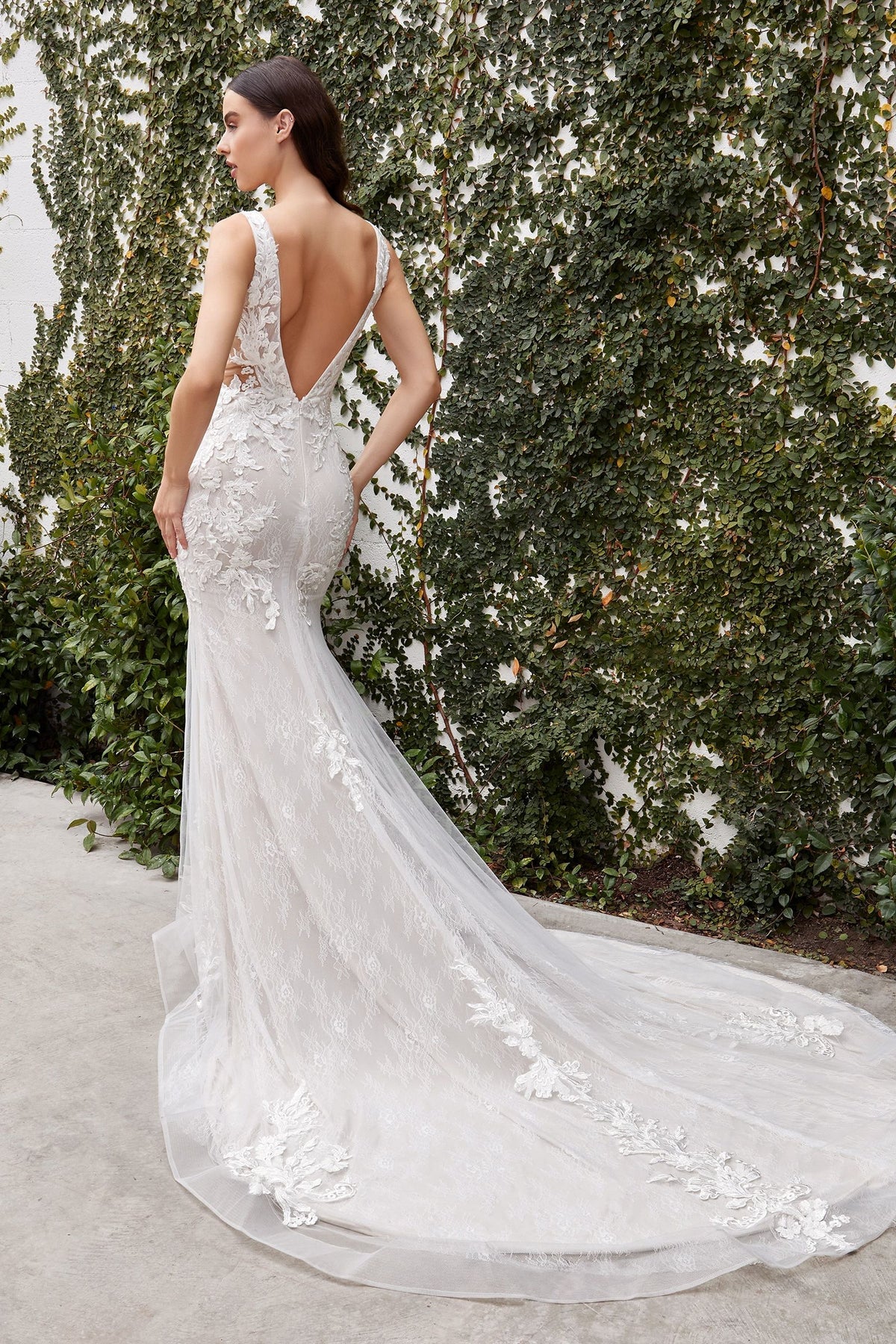 Avery Lace Bodice Illusion V-Neck Long Wedding Dress CDA1072W CIND